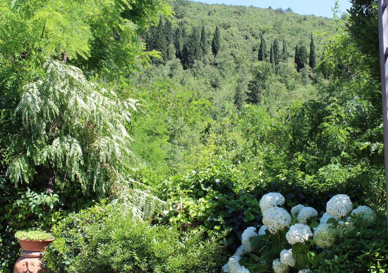 Ulivo Rosso Bed & Breakfast Sesto Fiorentino Exterior photo